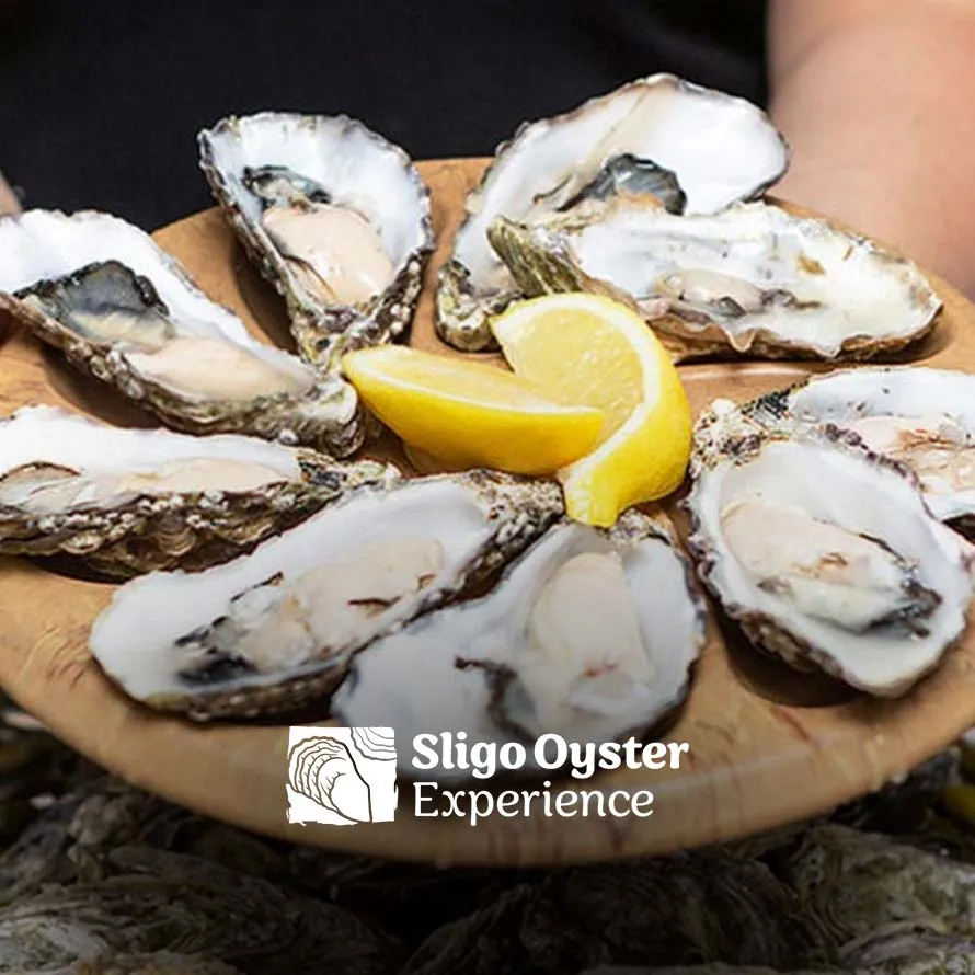Sligo Oyster Experiences