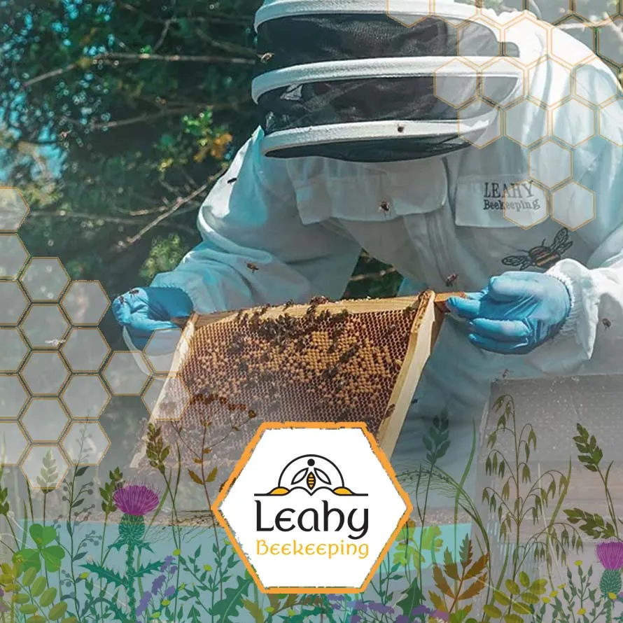 leahy beekeeping fcdm featured image