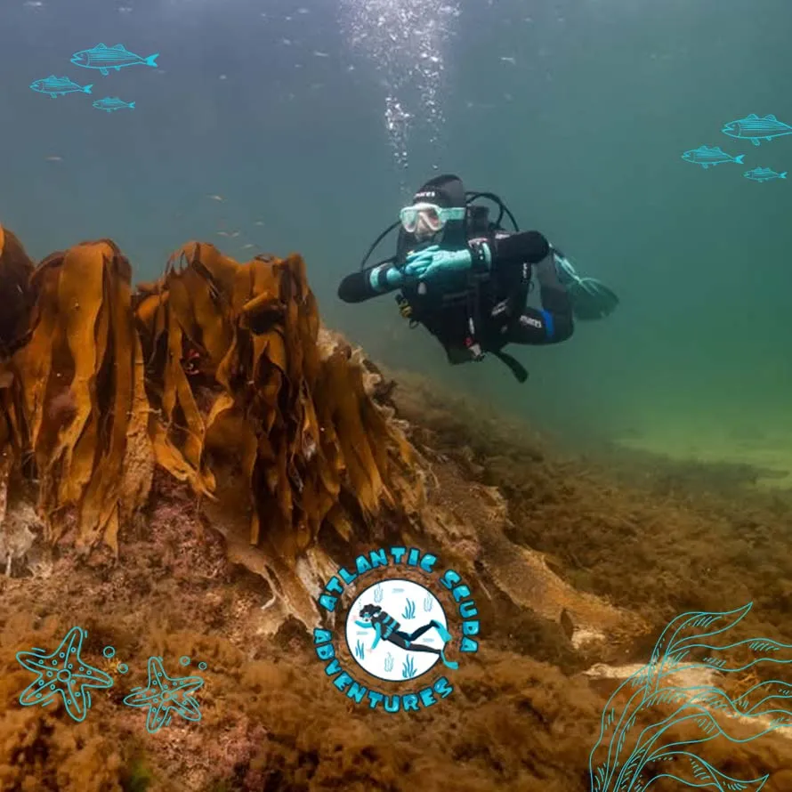 Atlantic Scuba Adverntures Featured Image