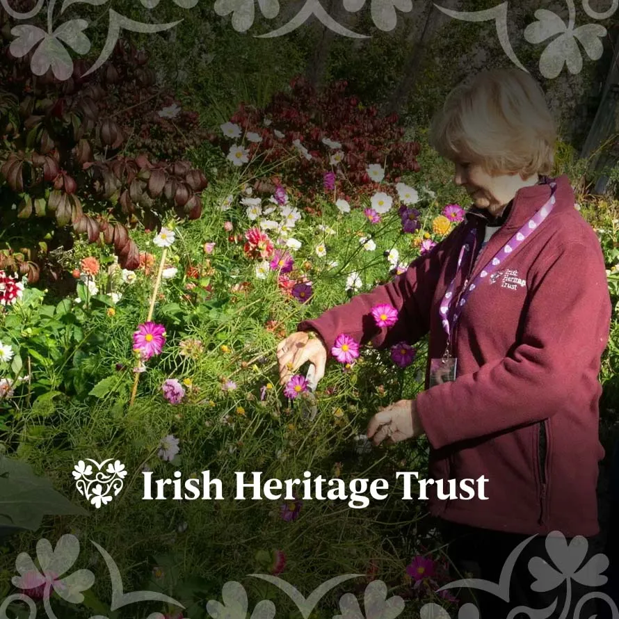 The Irish Heritage Trust Fcdm Feature Image